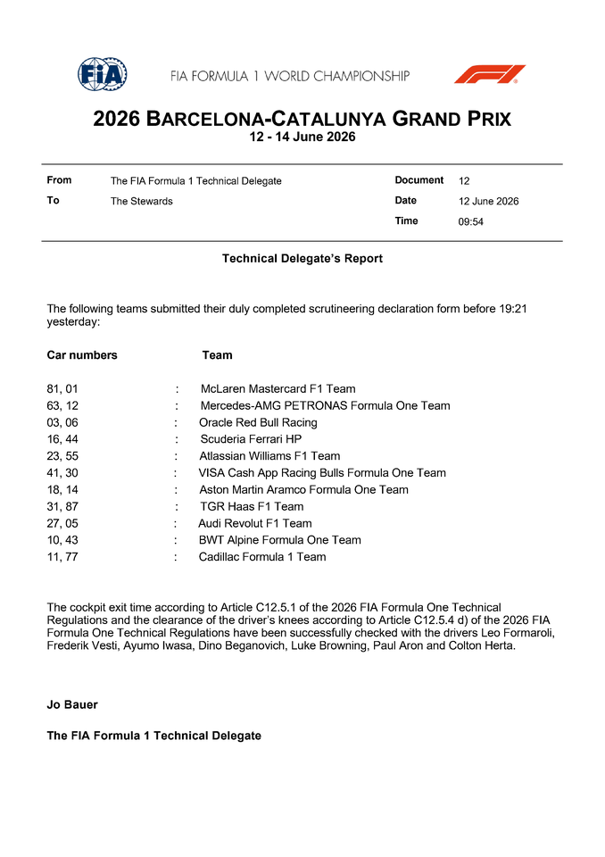 Thumbnail for Doc 12 - Self Scrutineering